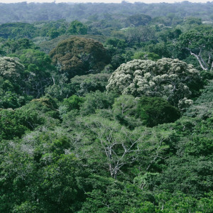 Afrika