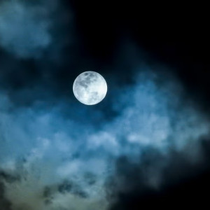 Moonlight Tales