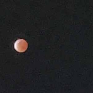 Blood Moon