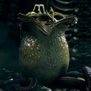 Strange eggs