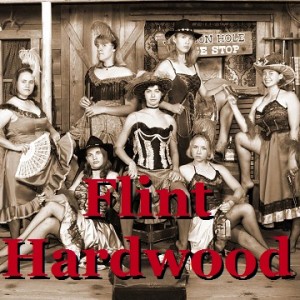 Adventures of Flint Hardwood, Bounty Hunter