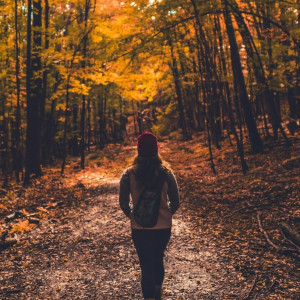Walking on a Trail