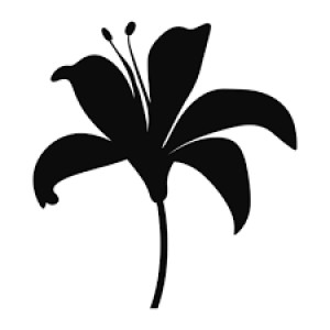 The Desert Flower