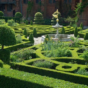 The maze of women