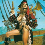 High Seas Pirate
