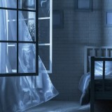 The Midnight Visitor
