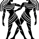 Artifical Twin&acute;s