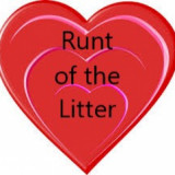 Runt of the Litter