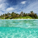 Paradise Island