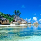 Surviving in Paradise