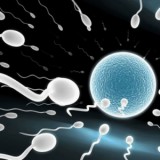 Impregnation Games