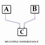 The Inheritance