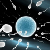 Fertility