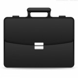 The Briefcase