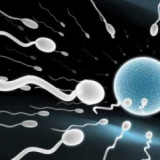Pregnant with Son's Bullys