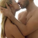 Kitten's New Beginning