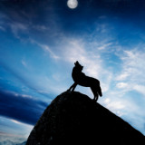Wolves Peak