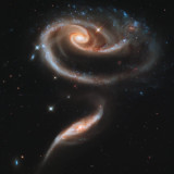 Repopulating Planet 626