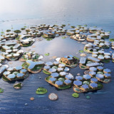 Aqua City One