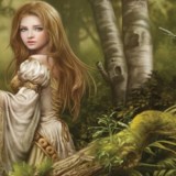 The Fae Kingdom