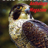 The Falcon's Magazine