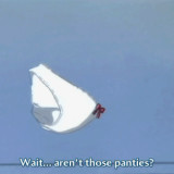 Butterfly Panties