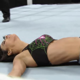 AJ Lee's Torment