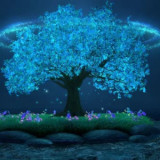 The Witch Tree Conspiracy