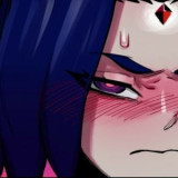 Robin... Raven... Starfire...