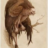 Wonder Woman: The Harpies of Themyscira