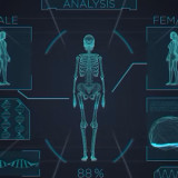 The Procreation Project
