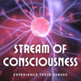 Stream of Consciousness