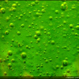 Runaway Slime