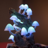 The brain fungus