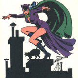 Die Nacht der Fledermaus