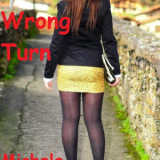 The Wrong Turn