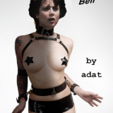The Cat Burglar