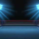 The worlds of Sexfighting