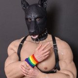 Trained to be a Good Dog