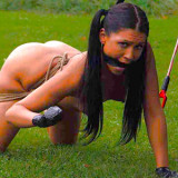The new pet