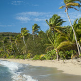 Crashed on a Deserted Island