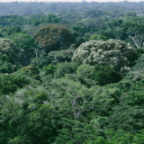 Afrika