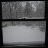 Snowed in