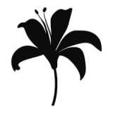 The Desert Flower