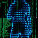 Cobra Project Queen Cobra