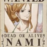 Nami Alone
